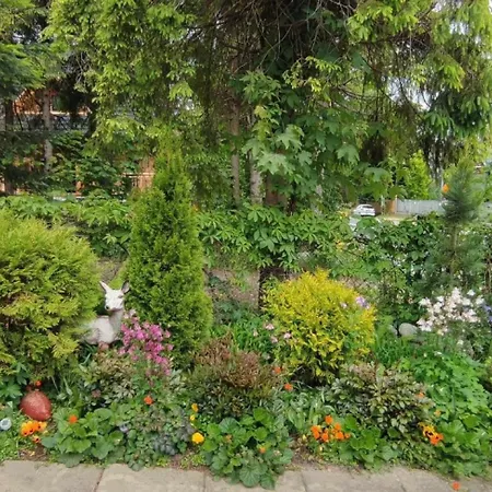 Dom Lesnik Ubytování v soukromí Zakopane