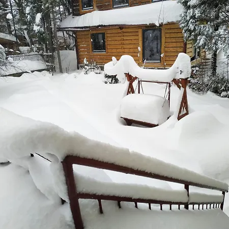 Dom Lesnik * Zakopane