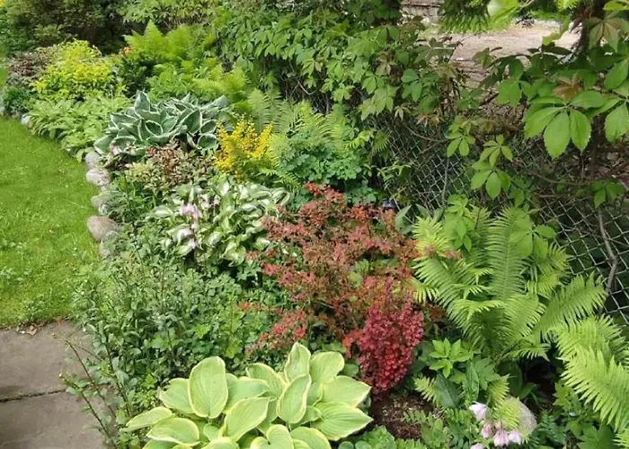 Dom Lesnik בית אירוח