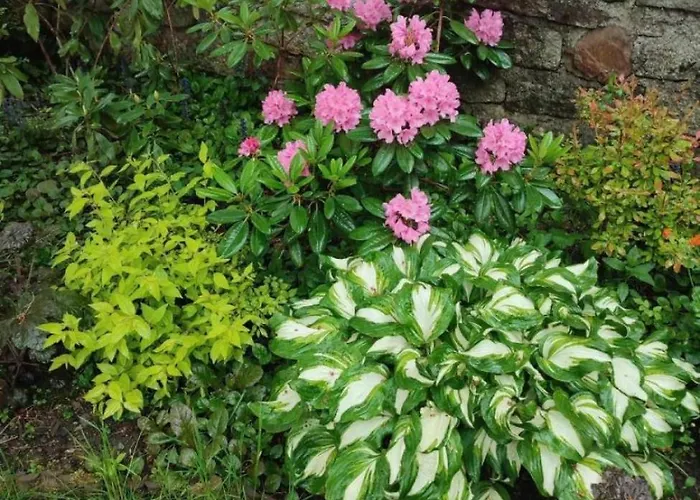 Ubytování v soukromí Dom Lesnik *