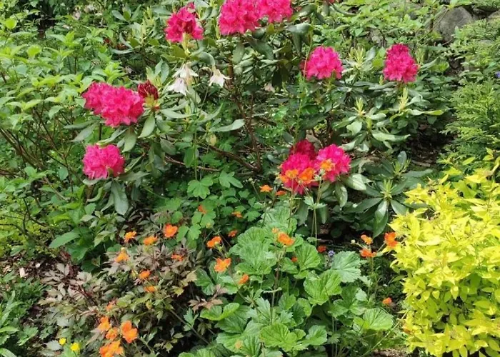 בית אירוח Dom Lesnik זקופאנה