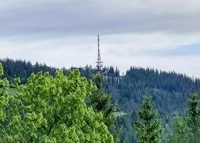 בית אירוח Dom Lesnik *