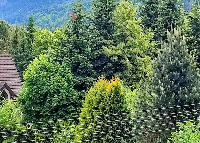 Ubytování v soukromí Dom Lesnik